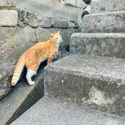 豊玉姫神社(香川県)