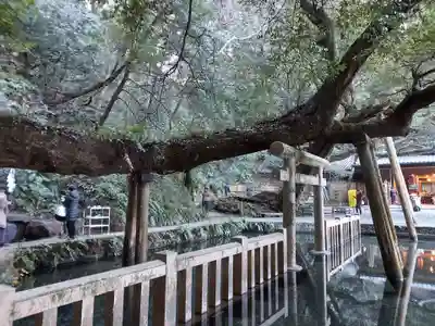 鹿島神宮(茨城県)