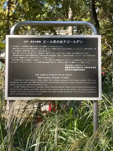 豊玉氷川神社の歴史