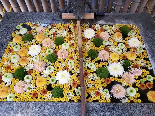 高円寺氷川神社の手水