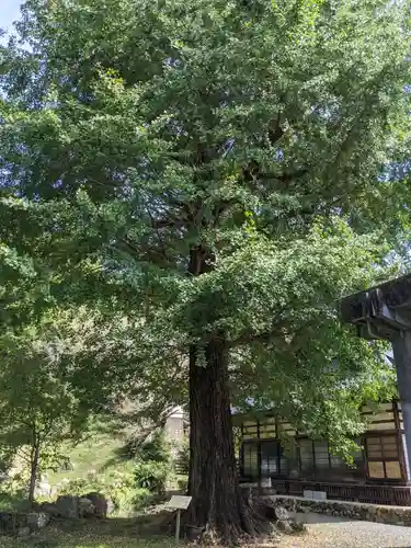 大福寺(静岡県)