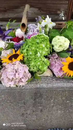 勝林寺(京都府)