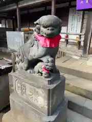 妙法寺の狛犬