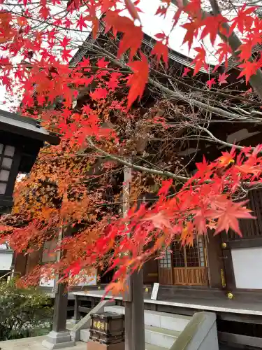 高幡不動尊　金剛寺(東京都)