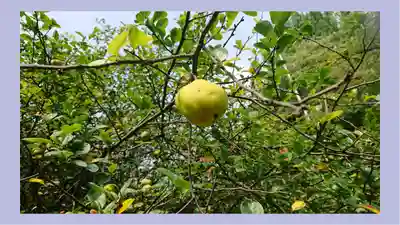 冠稲荷神社(群馬県)