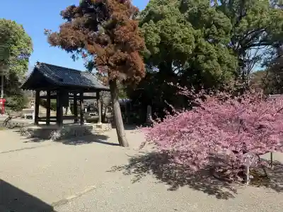 粉河寺の{uncategorized: "未分類", other: "その他", undefined: "問題あり", building: "その他建物", grave: "お墓", sacred_gate: "鳥居", guardian: "狛犬", statue: "像", buddha: "仏像", history: "歴史", nature: "自然", garden: "庭園", animal: "動物", pagoda: "塔", temizu: "手水舎", mountain_gate: "山門・神門", sanctuary: "本殿・本堂", subordinate: "末社・摂社", art: "芸術", scenery: "景色", jizo: "地蔵", ema: "絵馬", goshuin: "御朱印", omikuji: "おみくじ", items: "授与品その他", amulet: "お守り", goshuincho: "御朱印帳", eats: "食事", festival: "お祭り", votive_dance: "神楽", shichigosan: "七五三参", wedding: "結婚式", experience: "体験その他", initially: "初詣", around: "周辺", anti_infection: "感染症対策"}