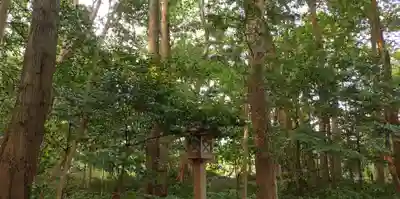伊雜宮（皇大神宮別宮）(三重県)