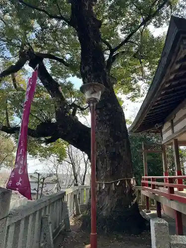 猪名部神社の{uncategorized: "未分類", other: "その他", undefined: "問題あり", building: "その他建物", grave: "お墓", sacred_gate: "鳥居", guardian: "狛犬", statue: "像", buddha: "仏像", history: "歴史", nature: "自然", garden: "庭園", animal: "動物", pagoda: "塔", temizu: "手水舎", mountain_gate: "山門・神門", sanctuary: "本殿・本堂", subordinate: "末社・摂社", art: "芸術", scenery: "景色", jizo: "地蔵", ema: "絵馬", goshuin: "御朱印", omikuji: "おみくじ", items: "授与品その他", amulet: "お守り", goshuincho: "御朱印帳", eats: "食事", festival: "お祭り", votive_dance: "神楽", shichigosan: "七五三参", wedding: "結婚式", experience: "体験その他", initially: "初詣", around: "周辺", anti_infection: "感染症対策"}
