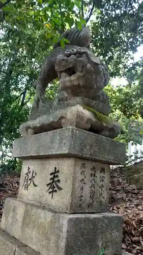 高尾神社の狛犬