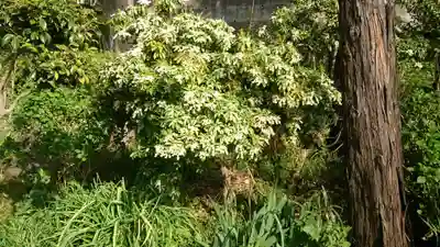 弥生神社のその他建物