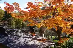 鹿島大神宮の自然