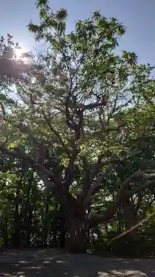 相馬神社(北海道)