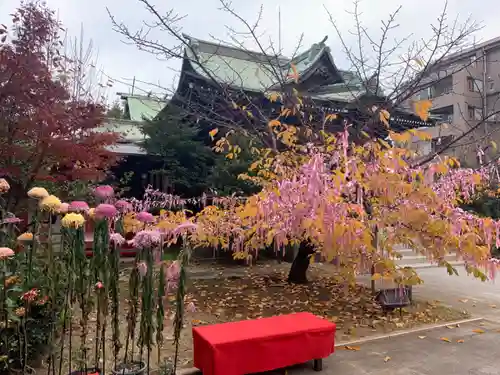 桜神宮のその他建物