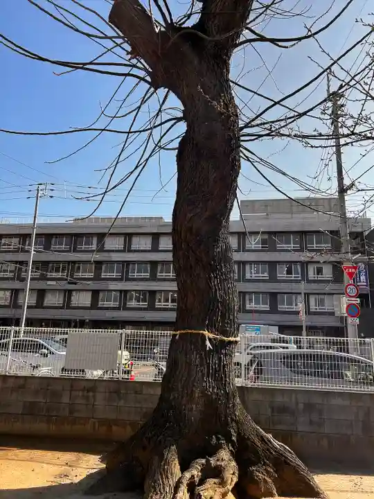 金山神社(香川県)