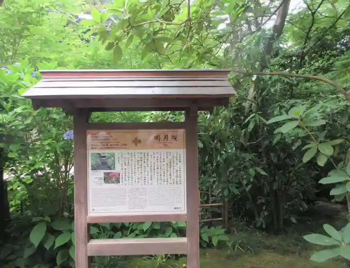 明月院(神奈川県)