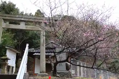 岐神社(島根県)