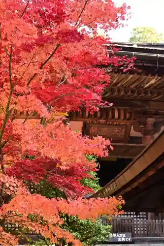 金剛輪寺(滋賀県)
