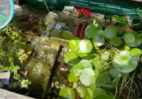 小芝八幡宮(静岡県)