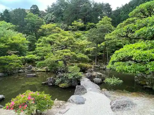 慈照寺（慈照禅寺・銀閣寺）(京都府)