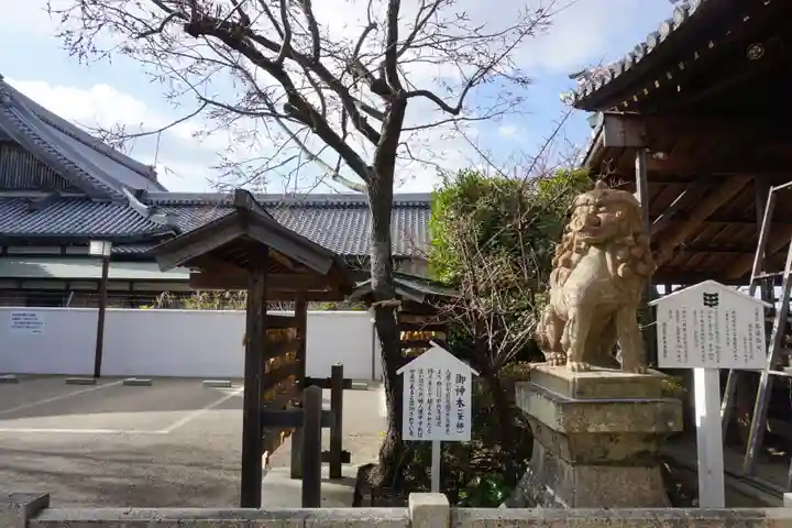 柿本神社の狛犬