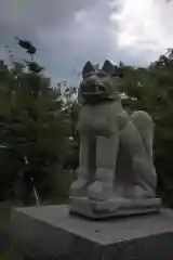 乙吉稲荷神社の狛犬