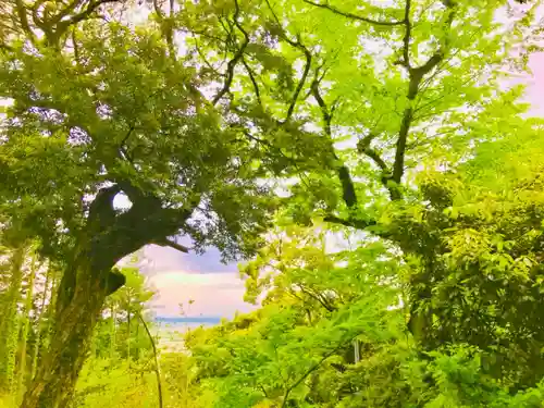 蚕影神社の自然