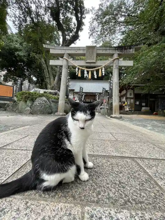 王子神社(徳島県)