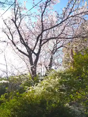 足高神社の自然