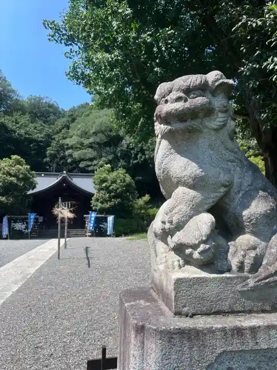 武州白子熊野神社(埼玉県)