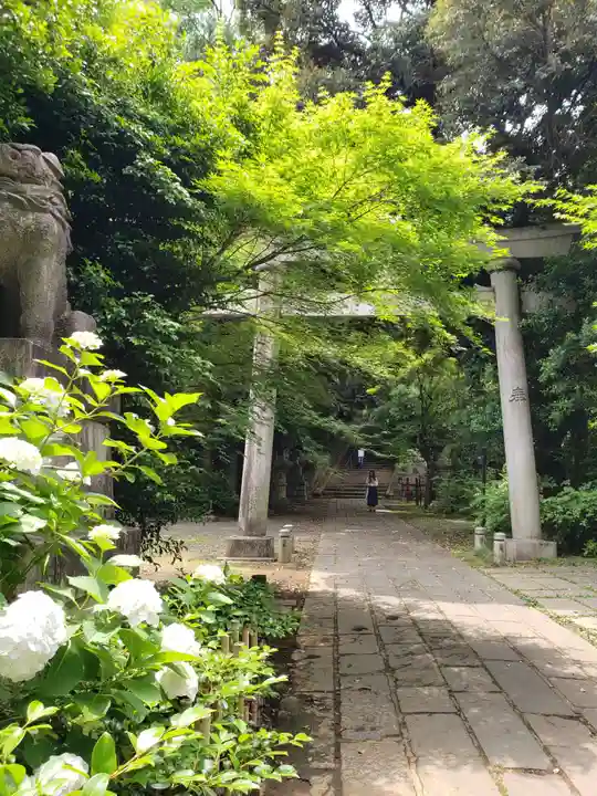 赤坂氷川神社(東京都)