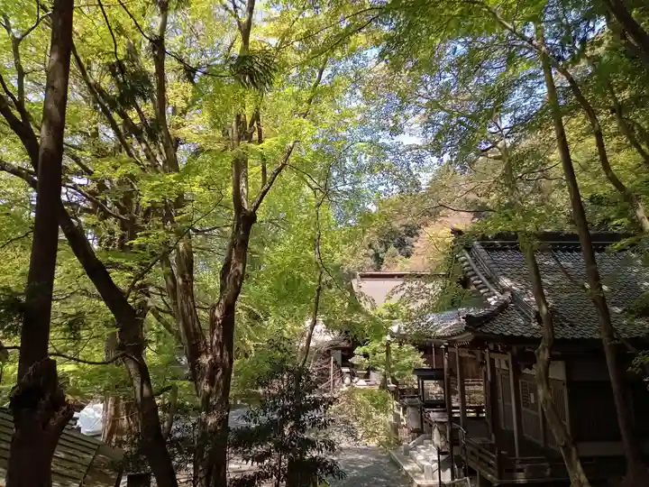 正法寺(滋賀県)