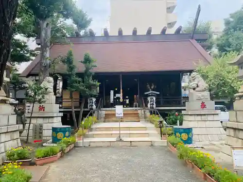 高円寺氷川神社の本殿・本堂