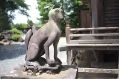 稲荷神社の狛犬