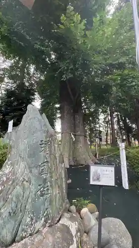 深見神社(神奈川県)