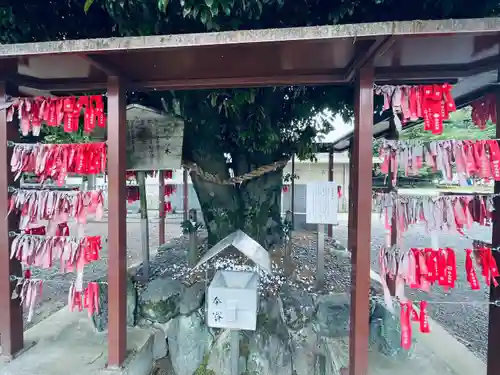 白山神社（二子町）の自然