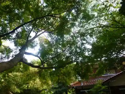 智光院(山口県)