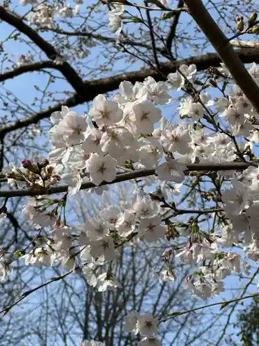 鷲宮神社の自然
