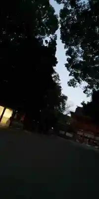 賀茂御祖神社（下鴨神社）のその他建物