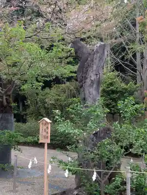 鷲宮神社(埼玉県)