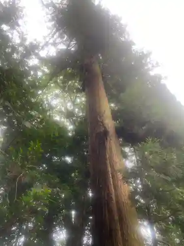 宮原八幡宮(栃木県)