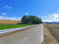 素盞嗚社の自然