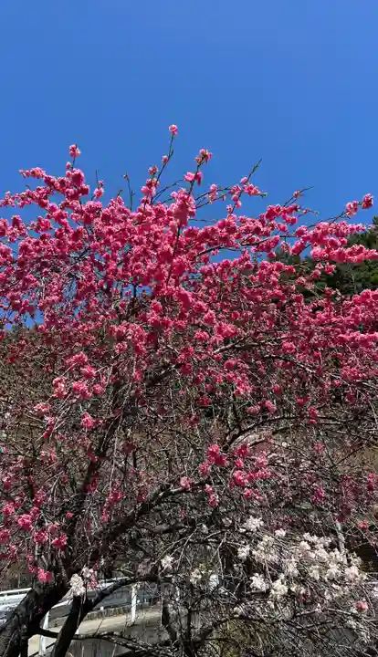 国福大神社(山梨県)