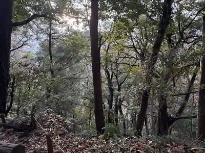 高尾山薬王院(東京都)