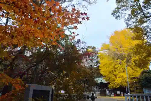 鶴嶺八幡宮(神奈川県)