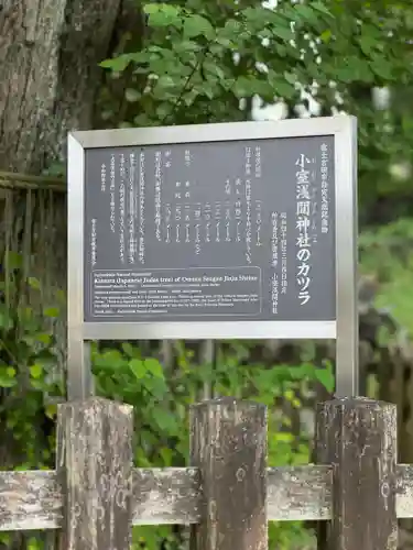 小室浅間神社(山梨県)