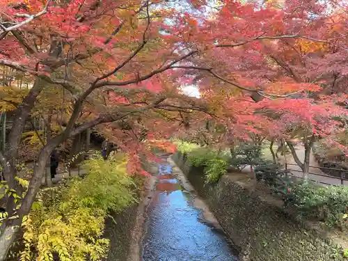 北野天満宮(京都府)