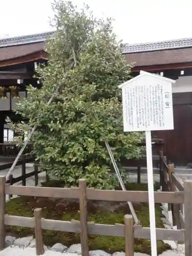 賀茂御祖神社（下鴨神社）の自然