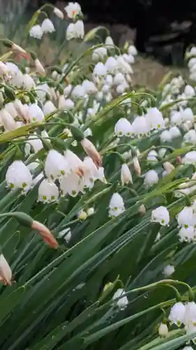 石山寺(滋賀県)
