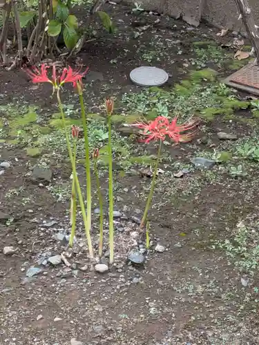 正行院(東京都)