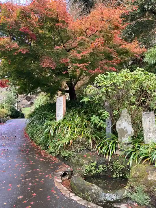 海蔵寺(神奈川県)